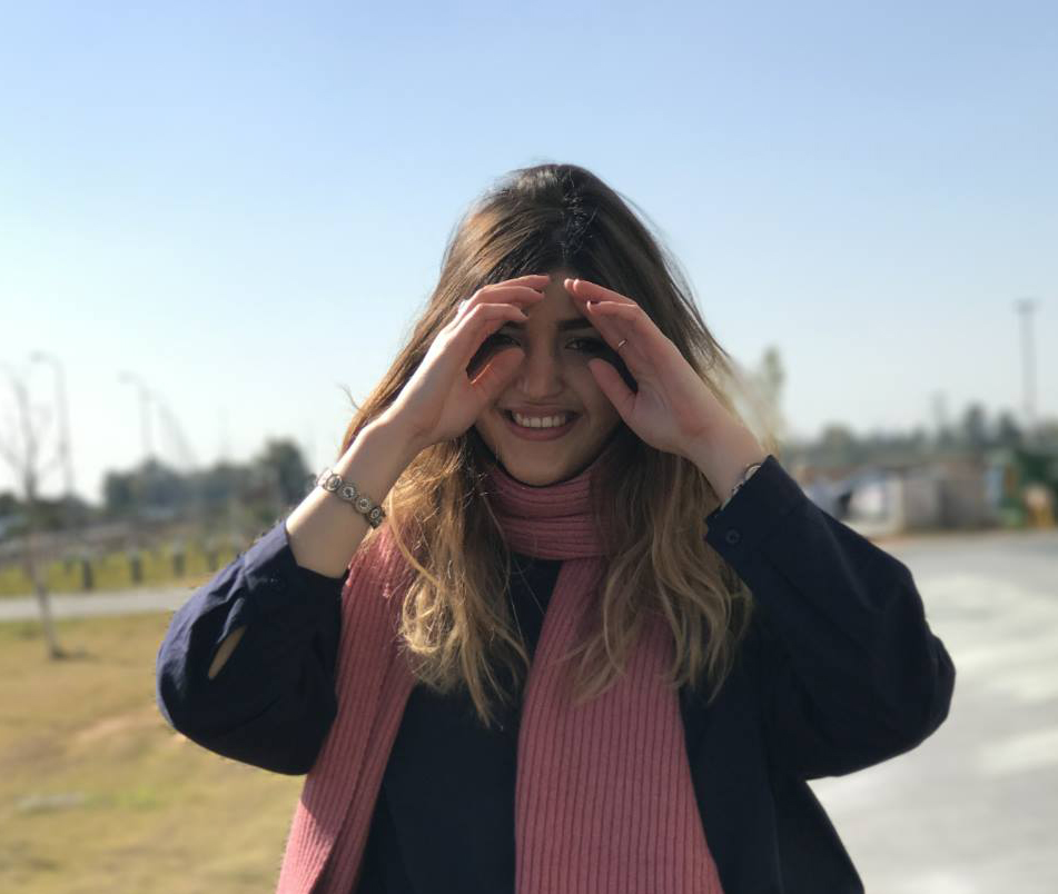 רויטל שטיינר